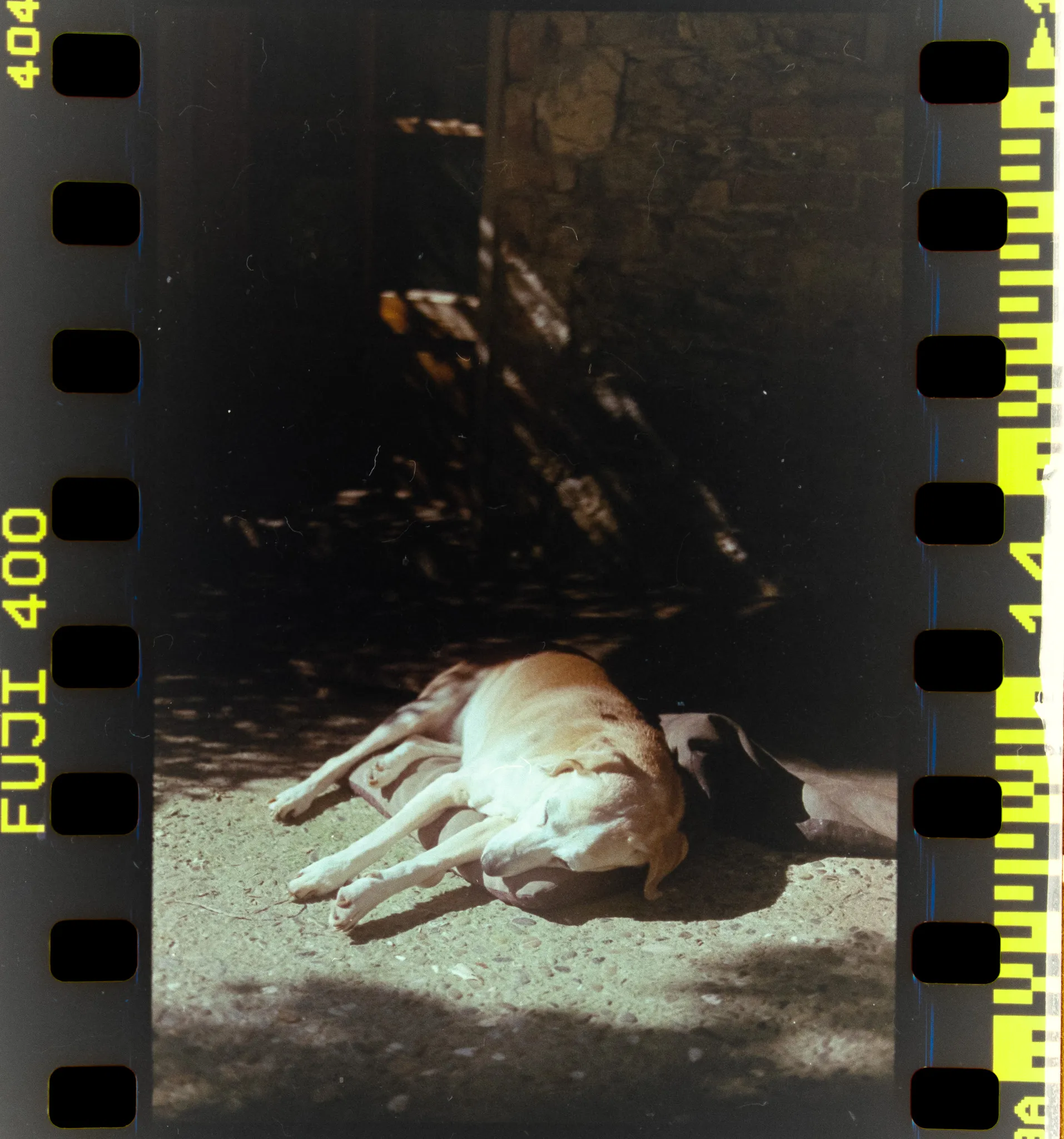 Films, foto 1