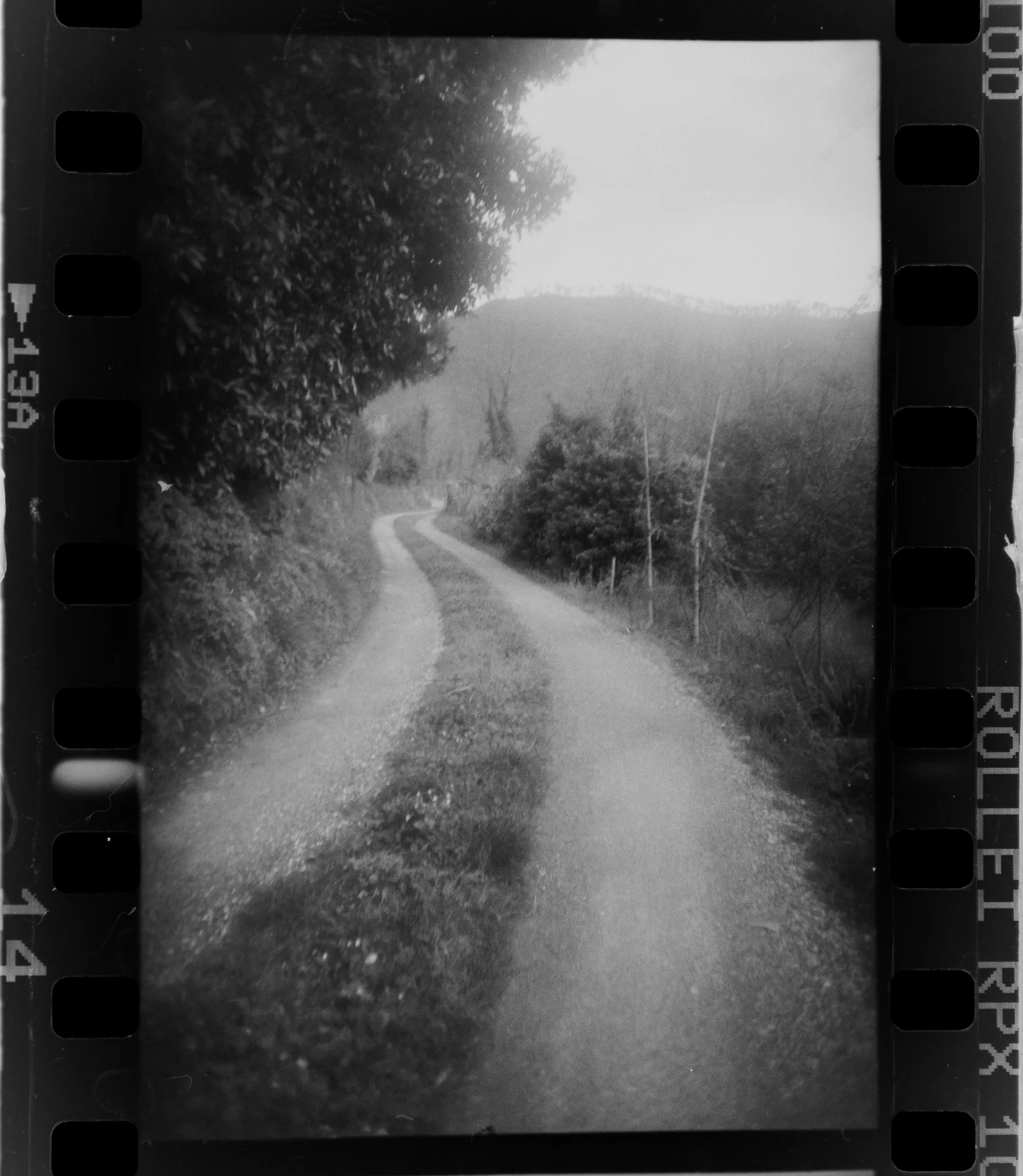 Films, foto 4