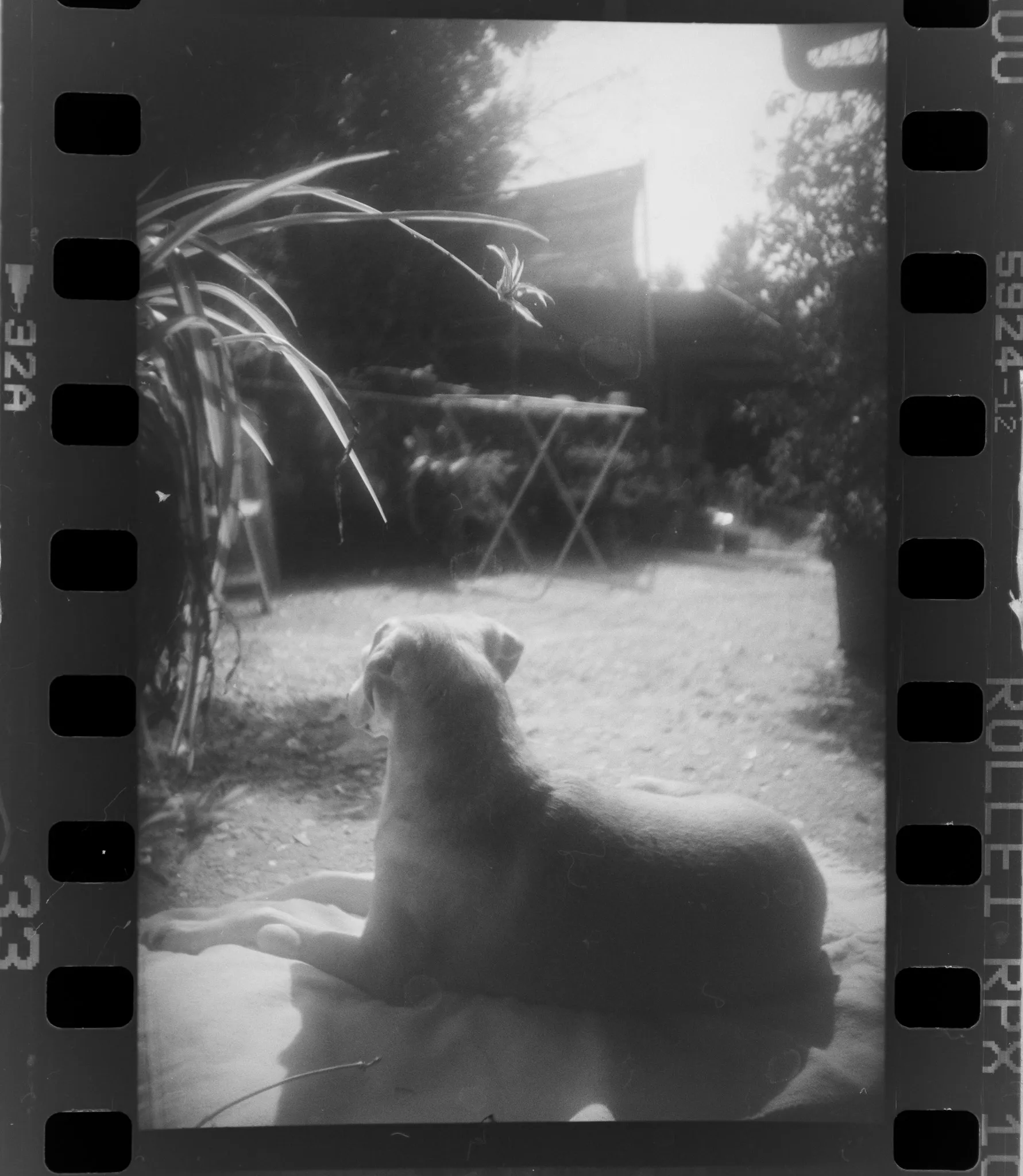 Films, foto 6