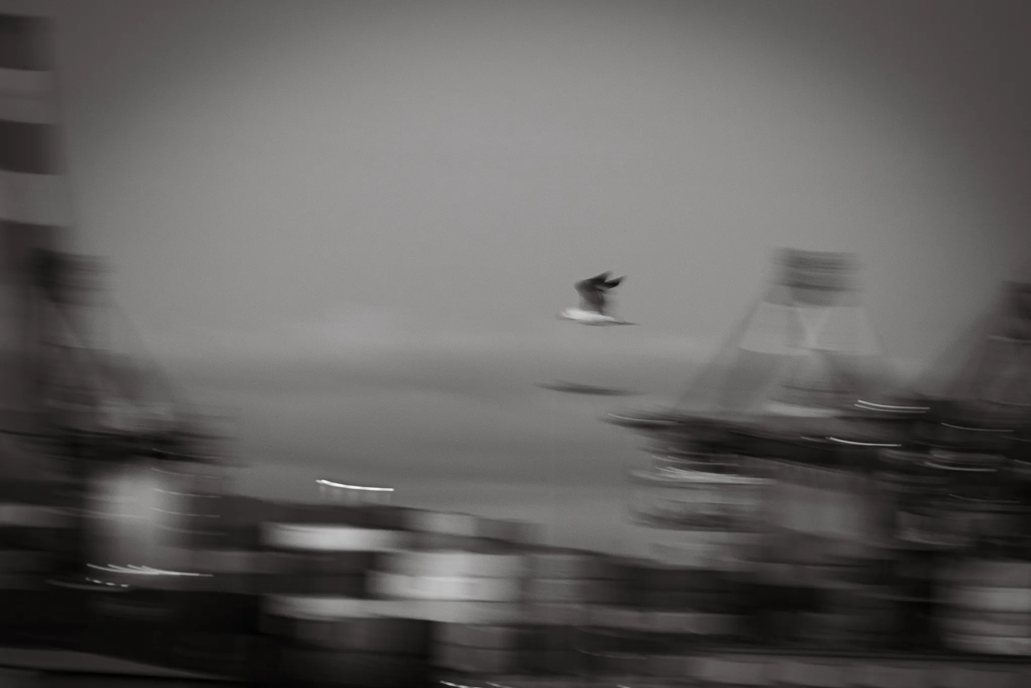 Spɛza — La Spezia, Liguria, foto 10