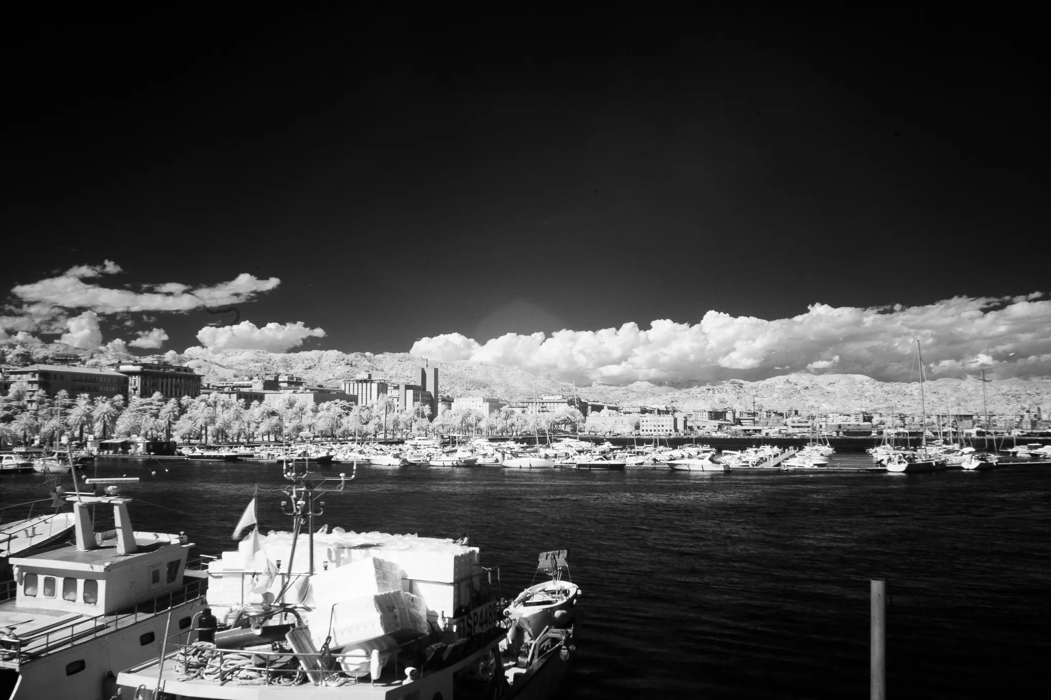 Infrared – 850nm, foto 5